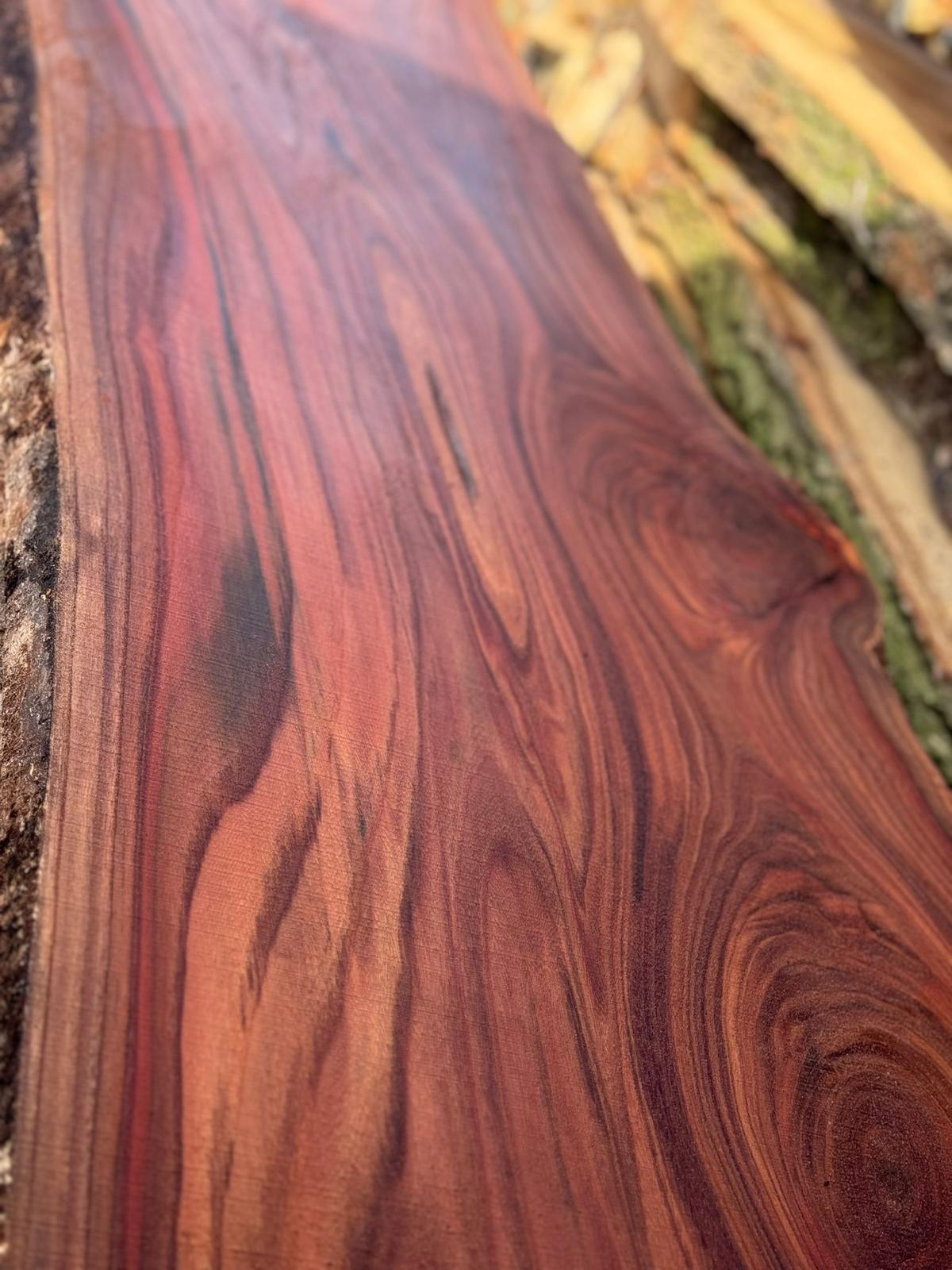 WhatsApp Image 2024-06-02 at 13.38.49.jpeg__PID:d618d728-bf2d-4ee5-ace4-fd23f89dc07e